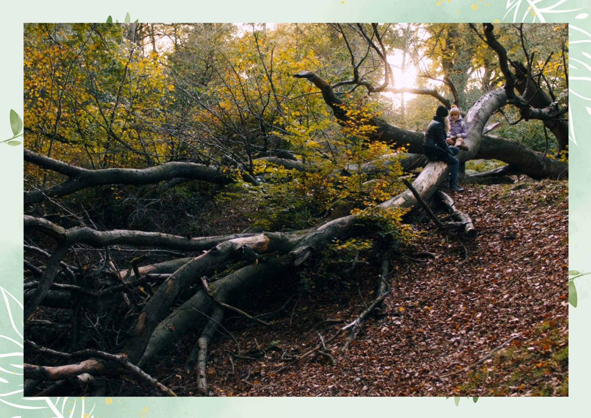 Green White Minimalist Aesthetic Blank Document Border 2 2