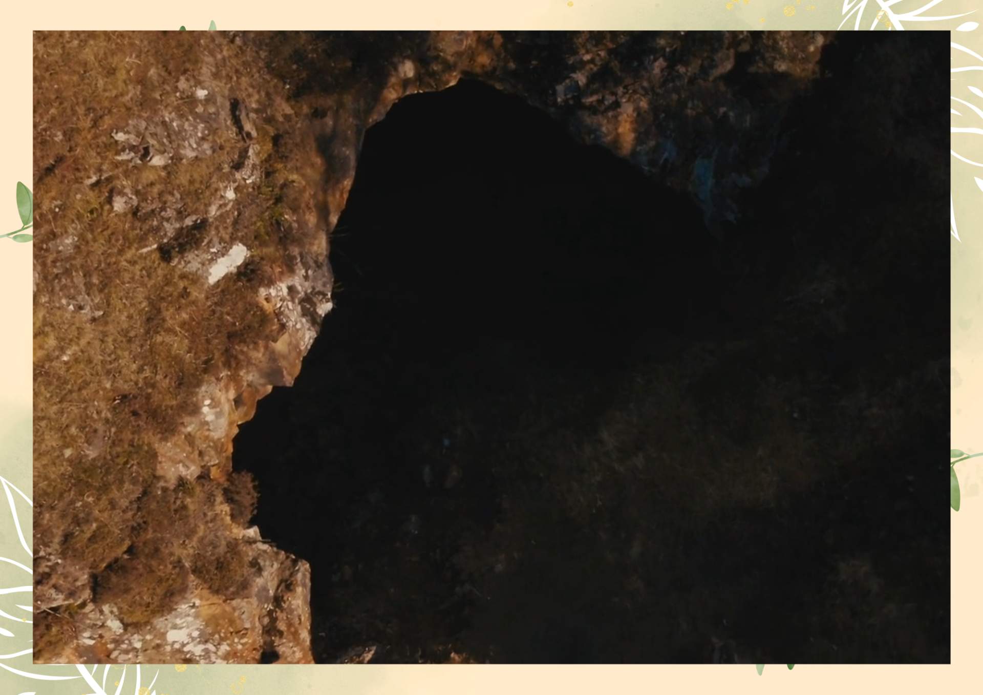 Green White Minimalist Aesthetic Blank Document Border 5 2 1