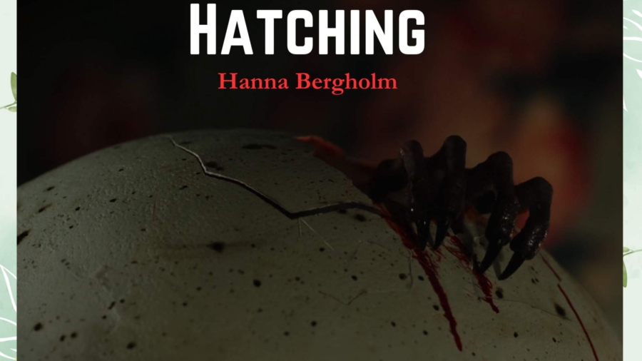 Green White Minimalist Aesthetic Blank Document Border (3) (1)