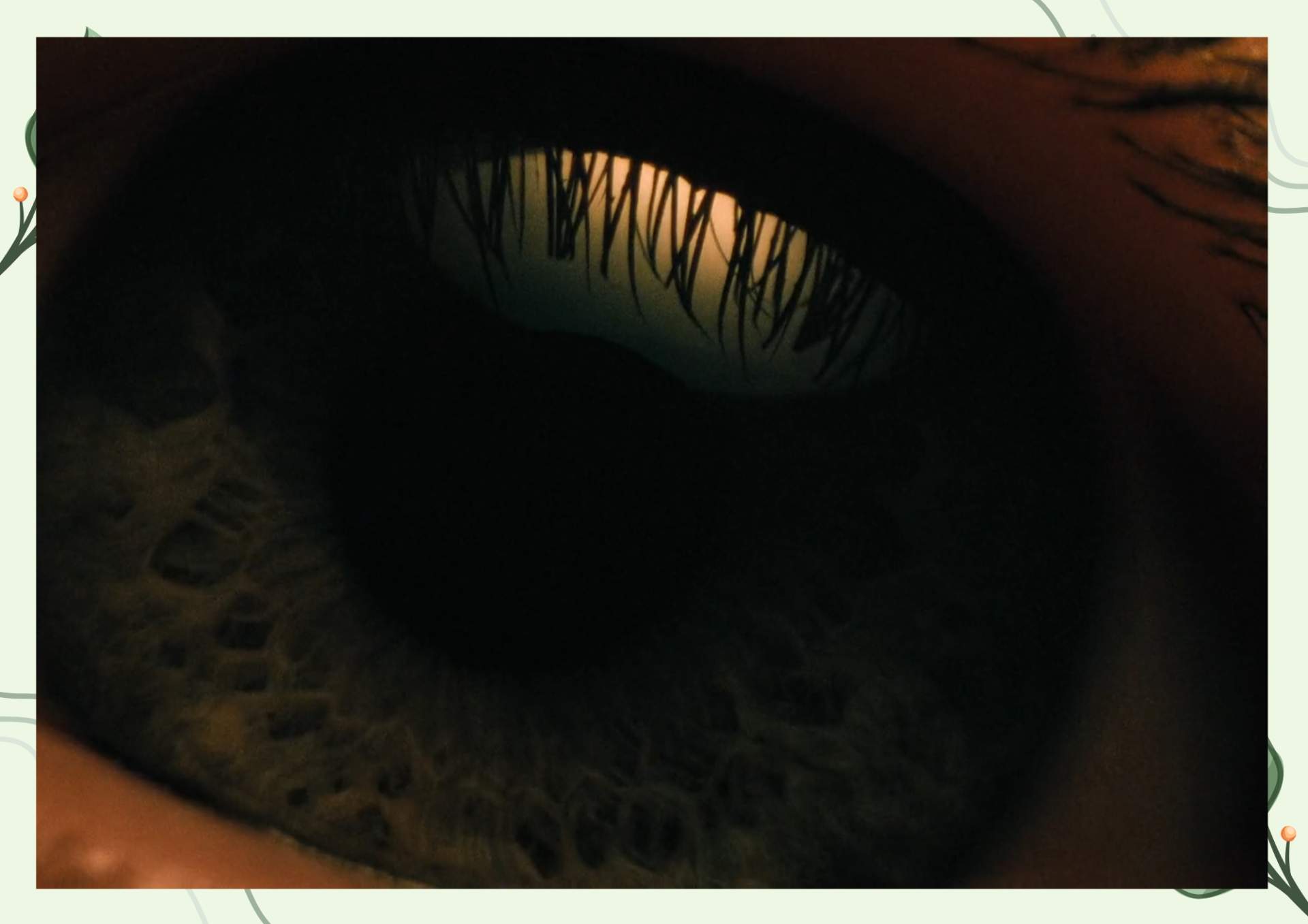 White Green Aesthetic Minimalist Blank Document Border 4