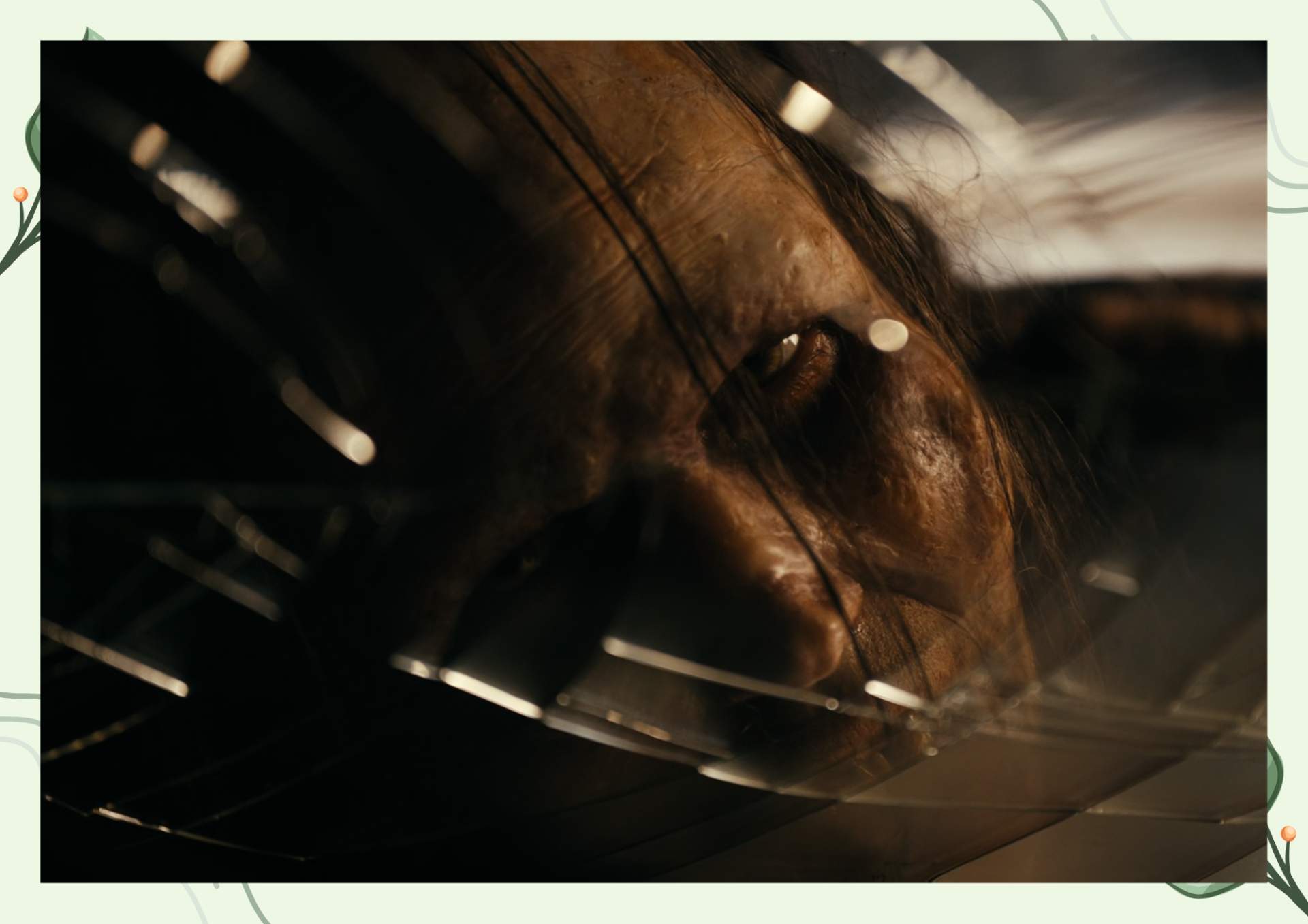 White Green Aesthetic Minimalist Blank Document Border 5 1 1