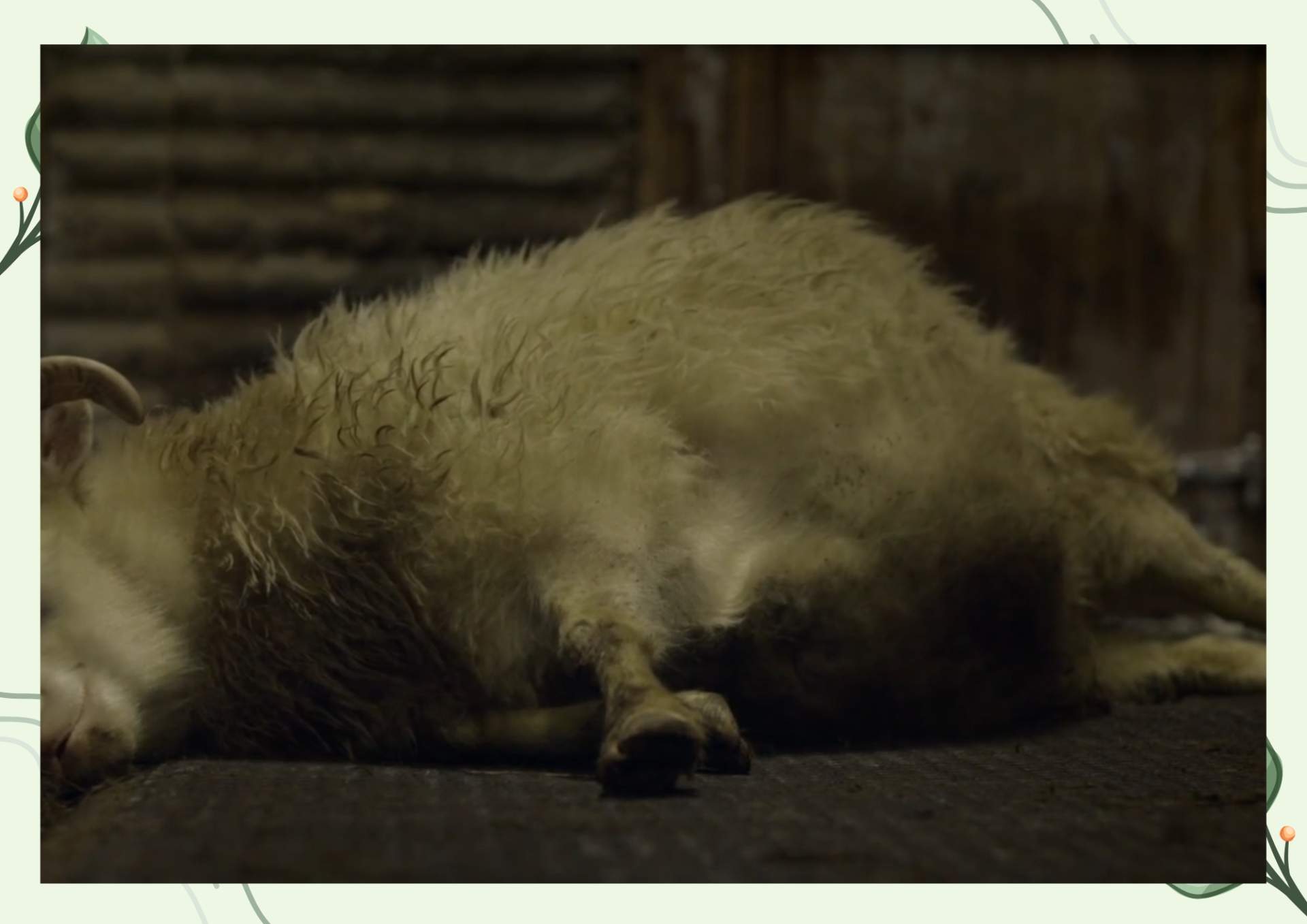 White Green Aesthetic Minimalist Blank Document Border 7 3