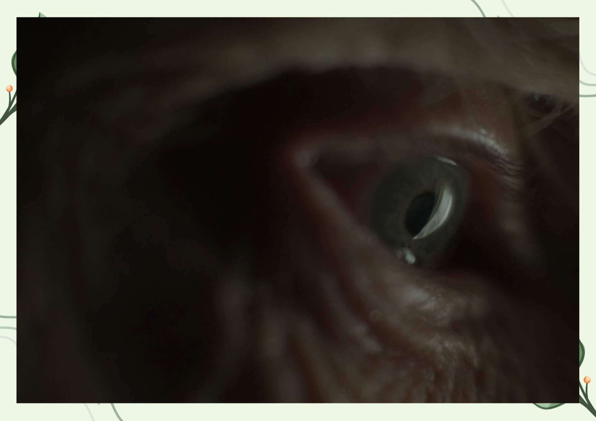 White Green Aesthetic Minimalist Blank Document Border 8 3